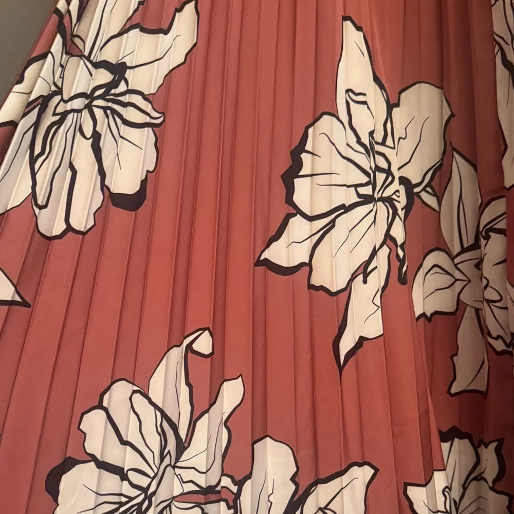 Hutch A-Line Maxi Skirt in Rust and White Floral - Picture 5 of 6